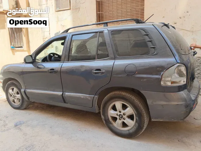 Hyundai Santa Fe 2006 photo 4