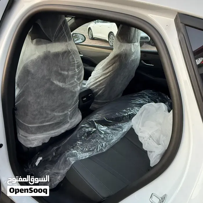 BYD Qin Plus 2025 photo 2