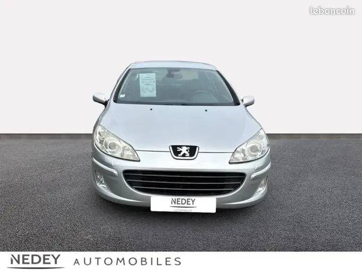 Peugeot 407 2007 photo 2
