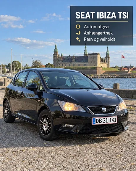 Seat Ibiza 2014 photo 2