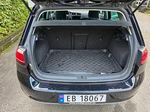 Volkswagen E-Golf Vii 2018 photo 5