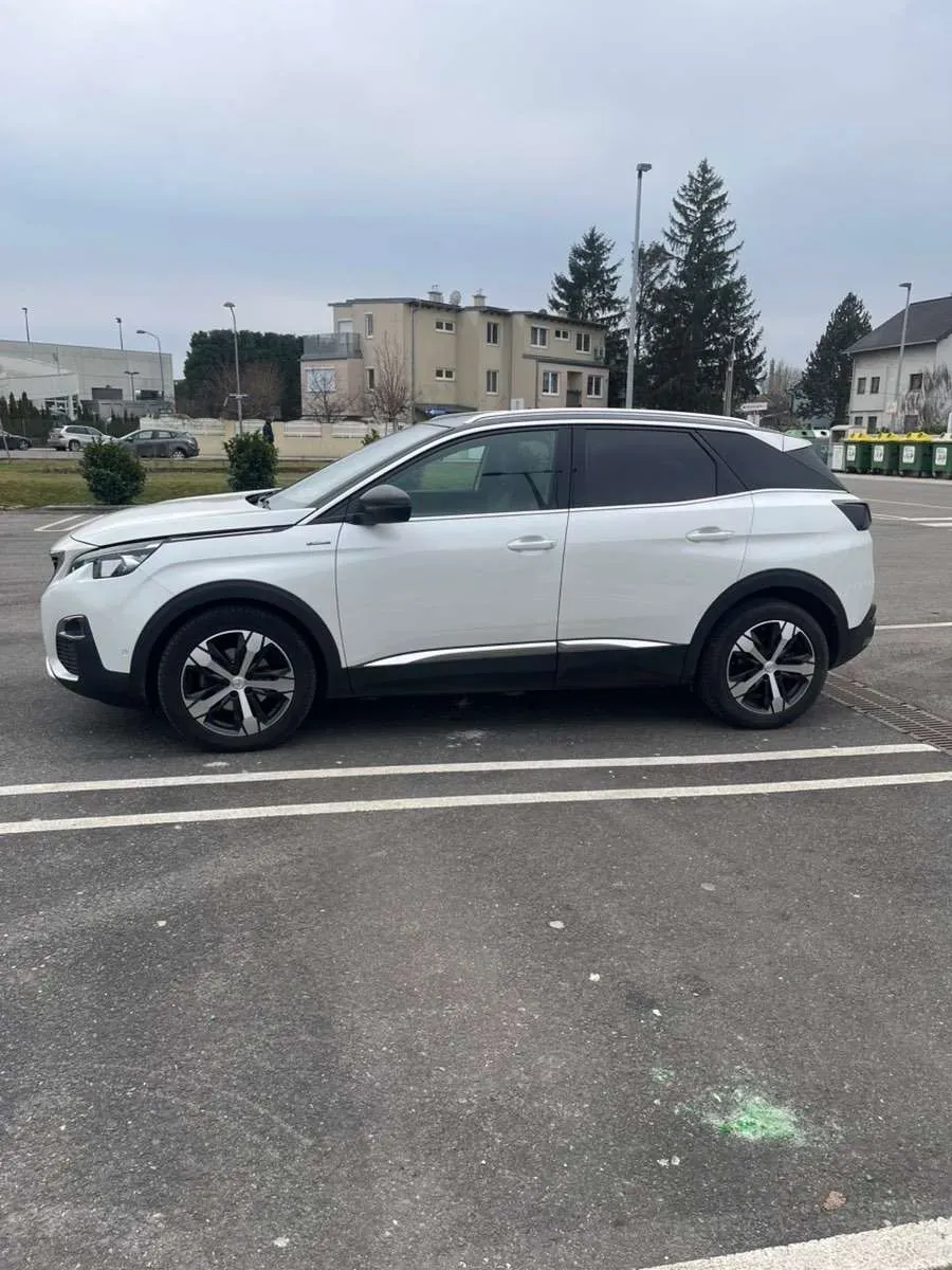 Peugeot 3008 2019 photo 2