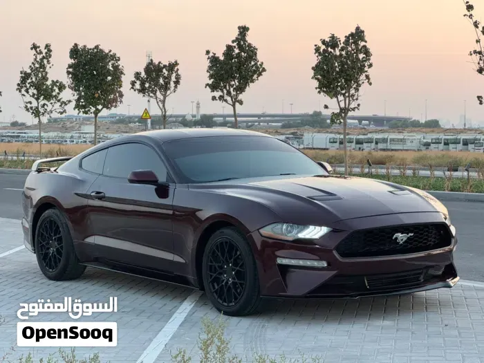 Ford Mustang 2018 photo 4