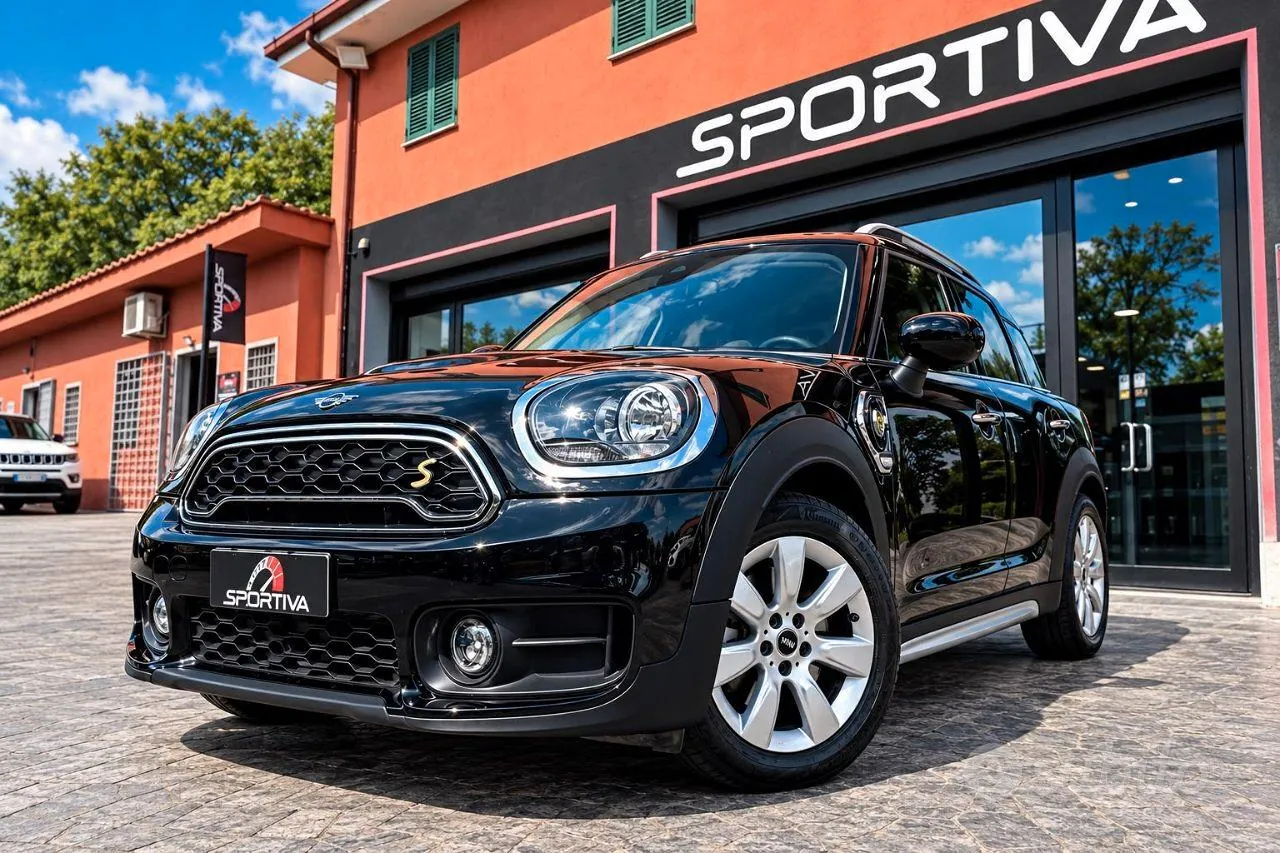 Mini Countryman