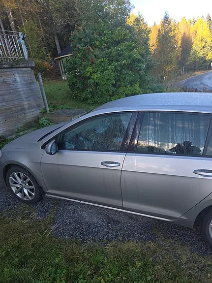 Volkswagen Golf Vii 2014 photo 2