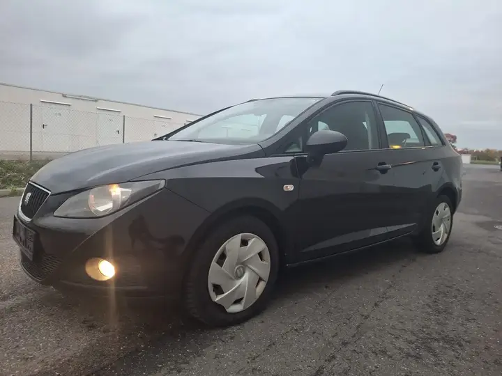 Seat Ibiza 2010 photo 2