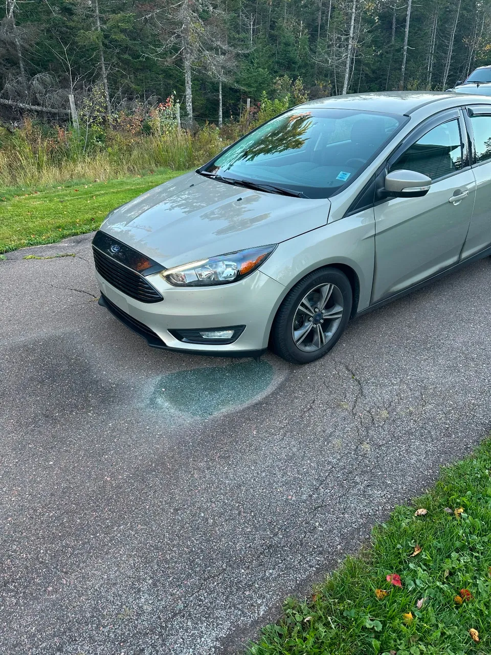 Ford Focus 2016 photo 2