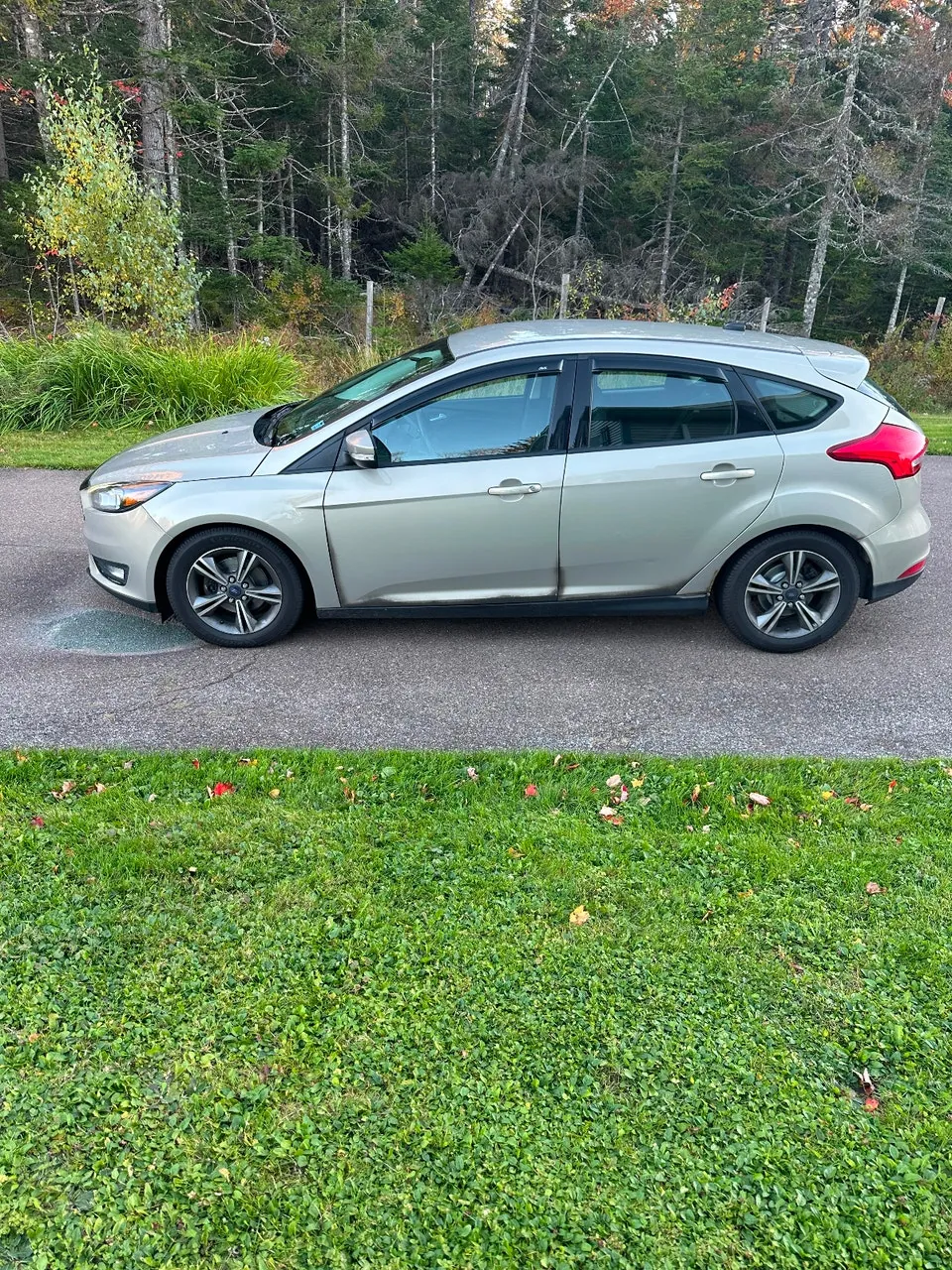 Ford Focus 2016 photo 5