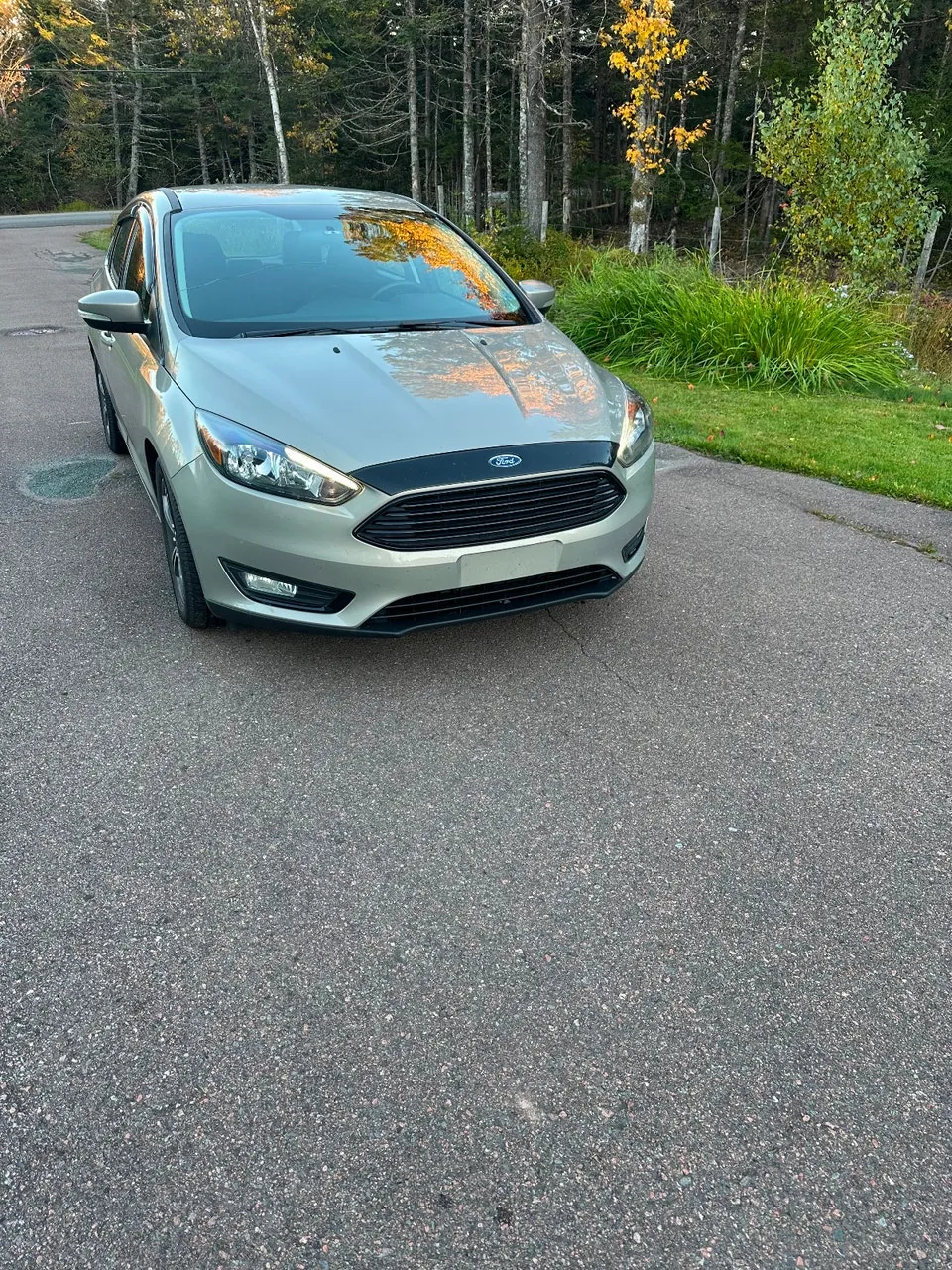 Ford Focus 2016 photo 4