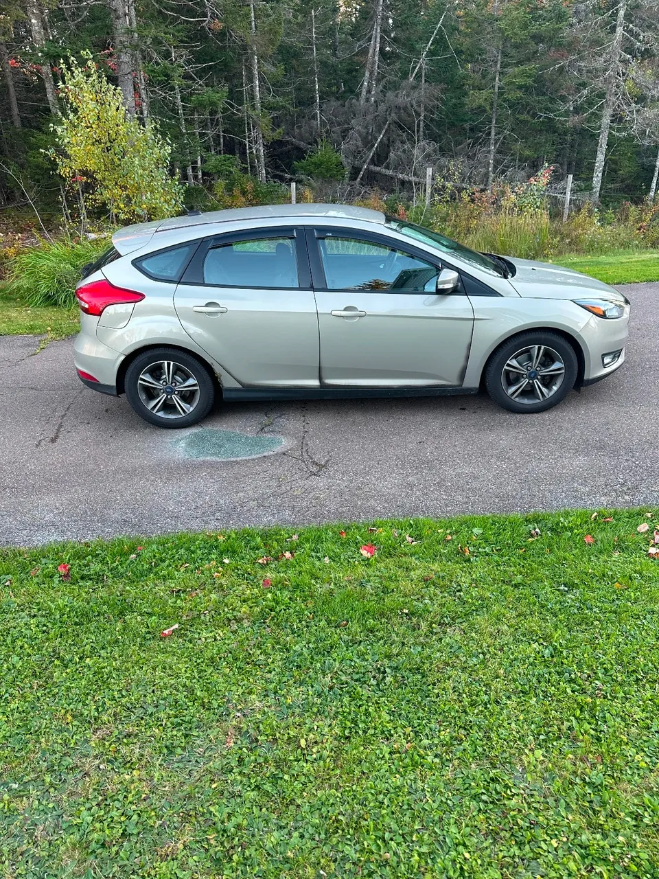 Ford Focus 2016 photo 3