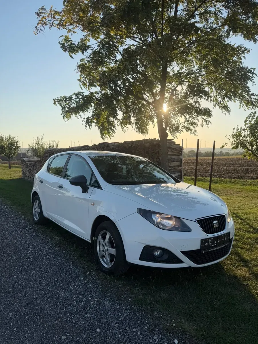 Seat Ibiza 2010 photo 3