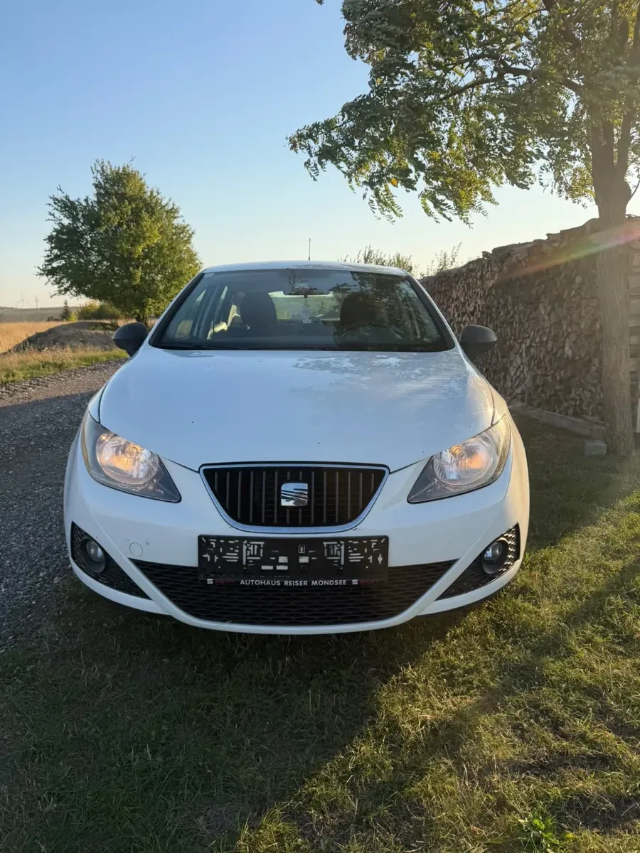 Seat Ibiza 2010 photo 2