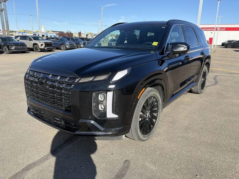 Hyundai Palisade 2025 photo 2