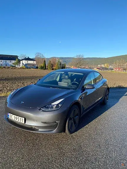 Tesla Model 3 2021 photo 2