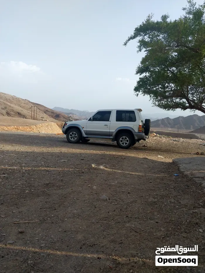 Mitsubishi Pajero 1995 photo 2