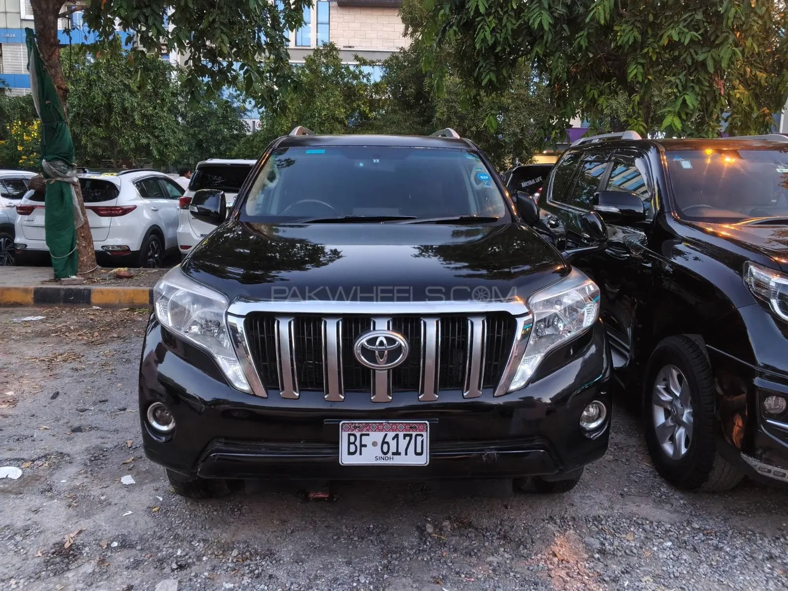 Toyota Prado