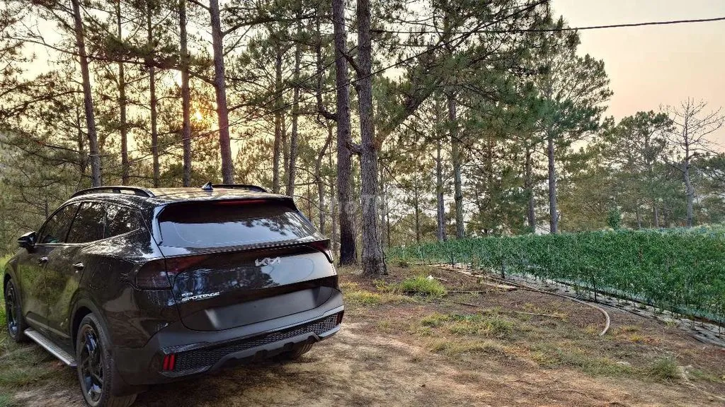 Kia Sportage 2022 photo 3