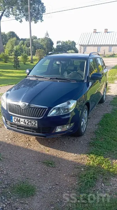 Skoda Fabia 2013 photo 2