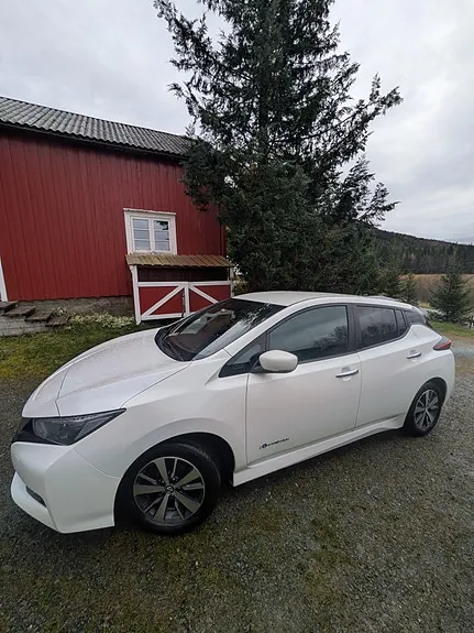 Nissan Leaf 2019 photo 2