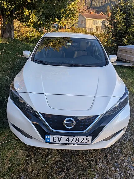 Nissan Leaf 2019 photo 3