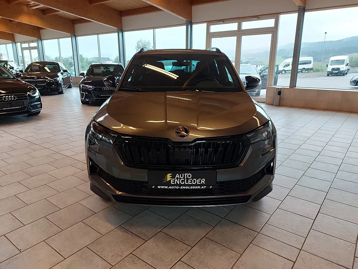 Skoda Karoq 2025 photo 3