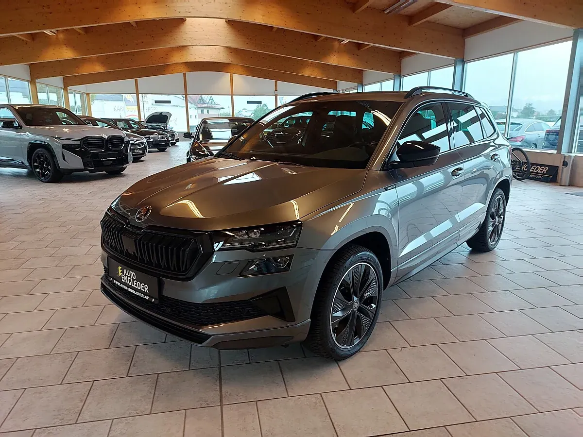 Skoda Karoq 2025 photo 2