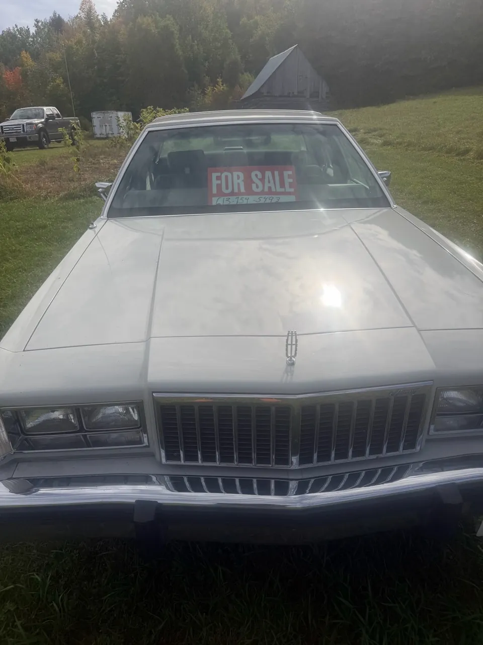 Mercury Grand Marquis 1990 photo 3