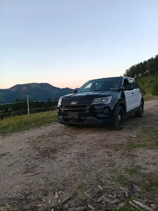 Ford Sonstige