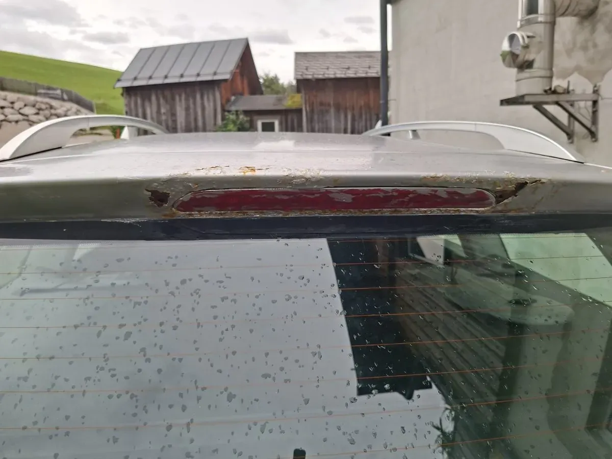 Volkswagen Passat 2008 photo 2