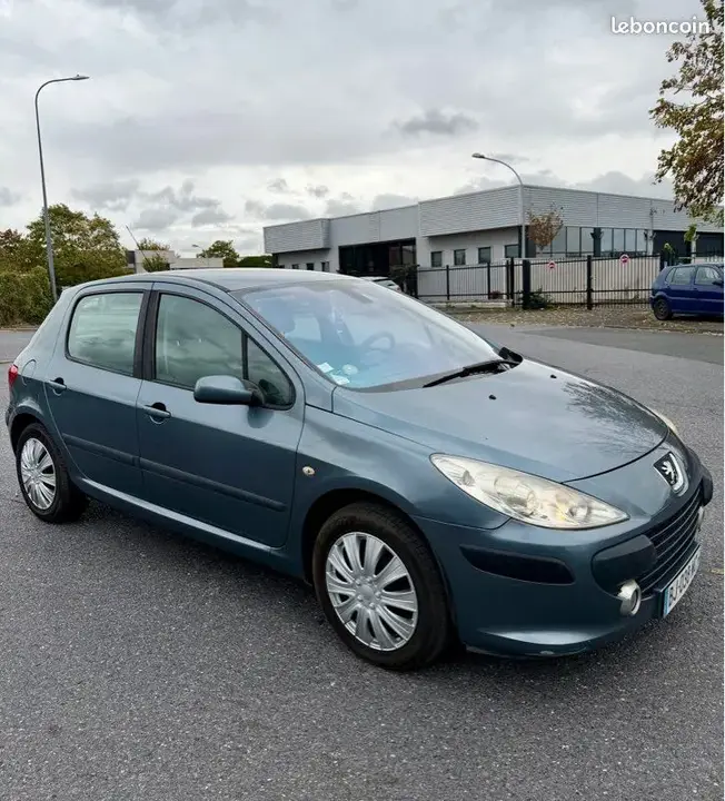 Peugeot 307 2006 photo 2
