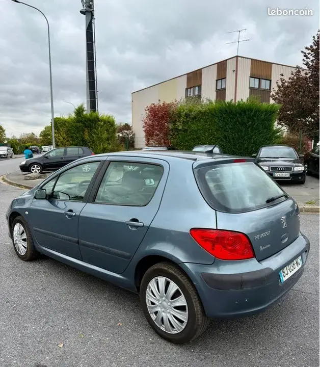 Peugeot 307 2006 photo 3