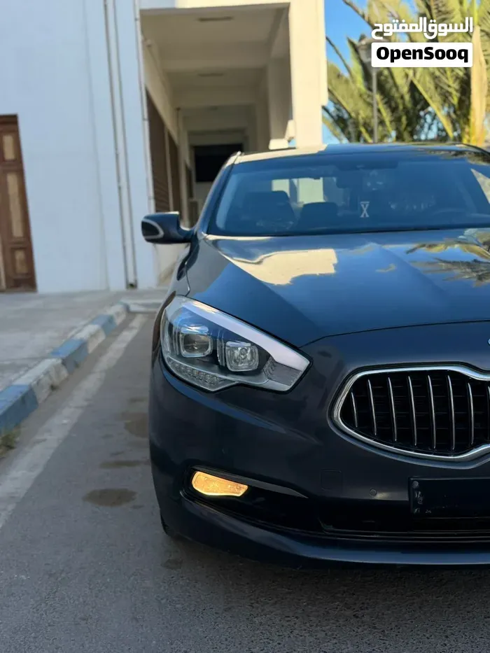 Kia Quoris 2013 photo 3