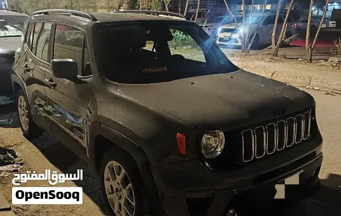 Jeep Renegade 2021 photo 2