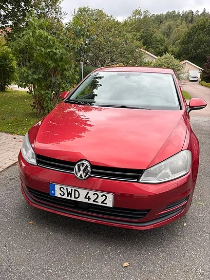 Volkswagen Golf Vii 2015 photo 3