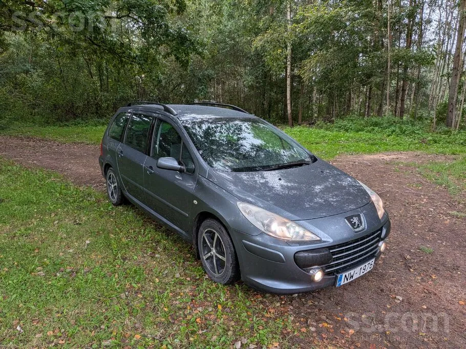 Peugeot 307 2008 photo 2