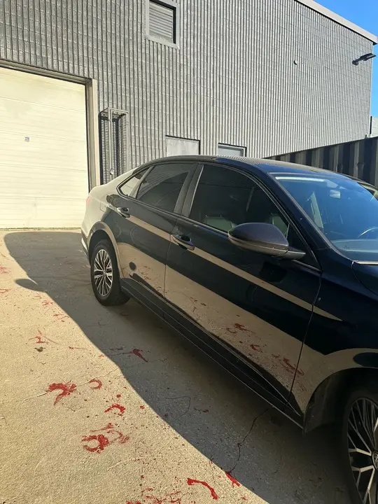 Volkswagen Jetta 2019 photo 3