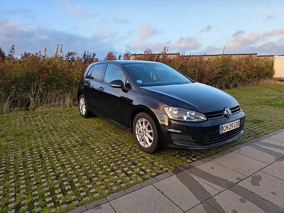 Volkswagen Golf Vii 2016 photo 2