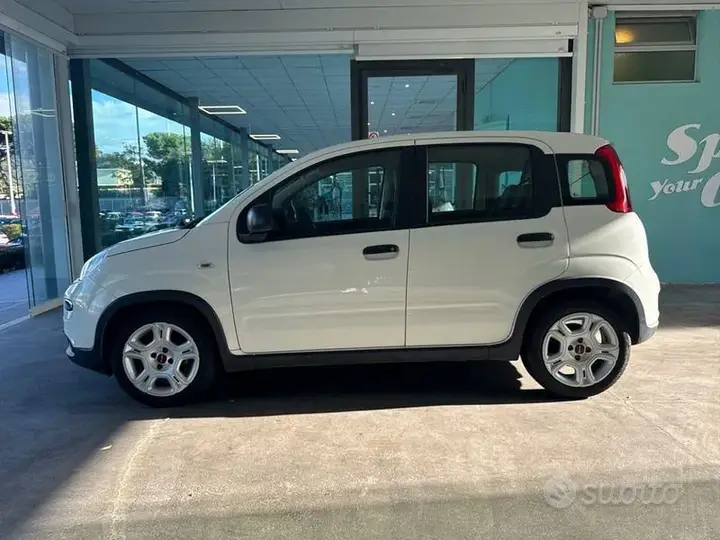 Fiat Panda 2024 photo 2