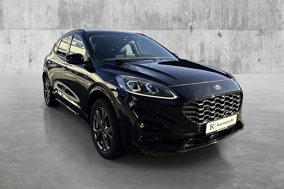 Ford Kuga 2021 photo 3