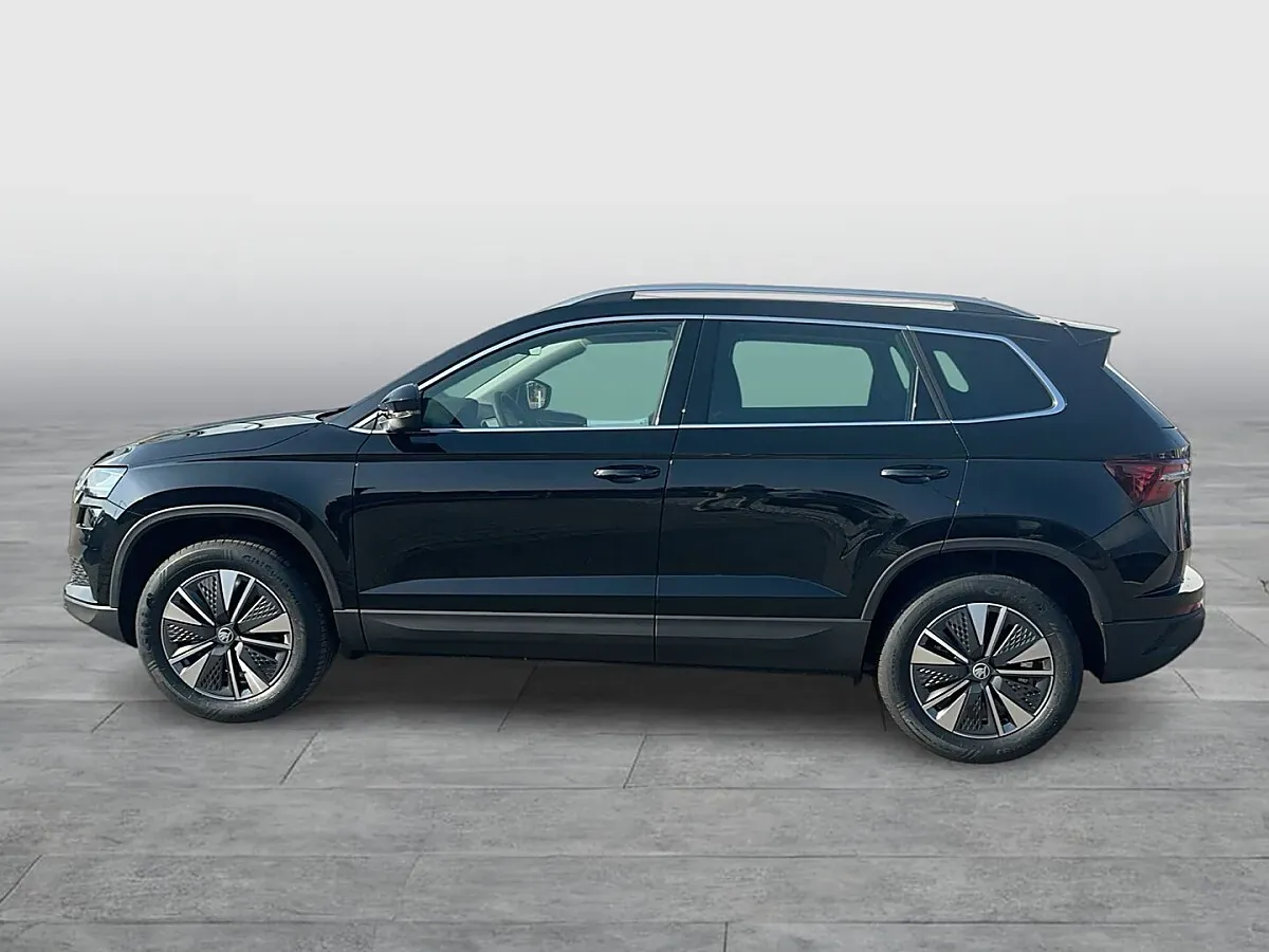 Skoda Karoq 2026 photo 2