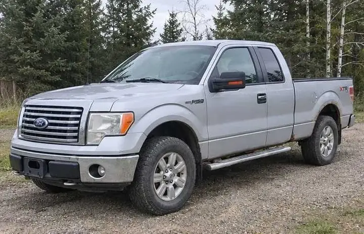 Ford F-150 2010 photo 2
