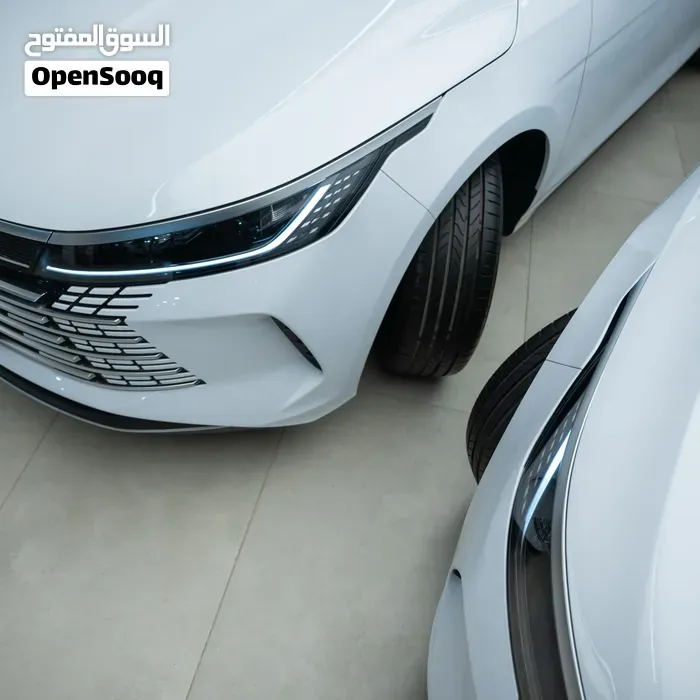 BYD Destroyer 05 2025 photo 3