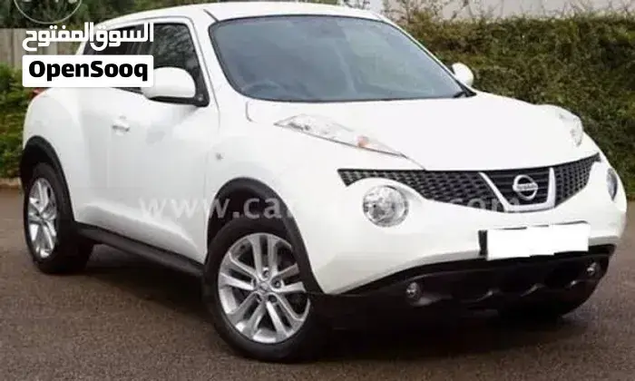 Nissan Juke 2013 photo 2