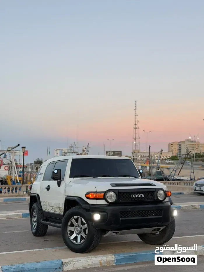 Toyota Fj 2010 photo 3