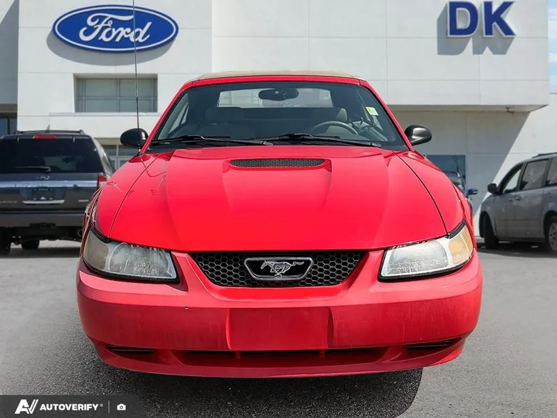 Ford Mustang 2000 photo 2