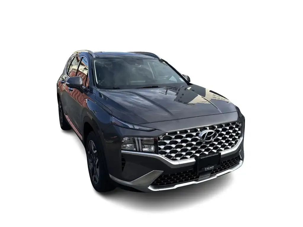 Hyundai Santa Fe 2022 photo 3