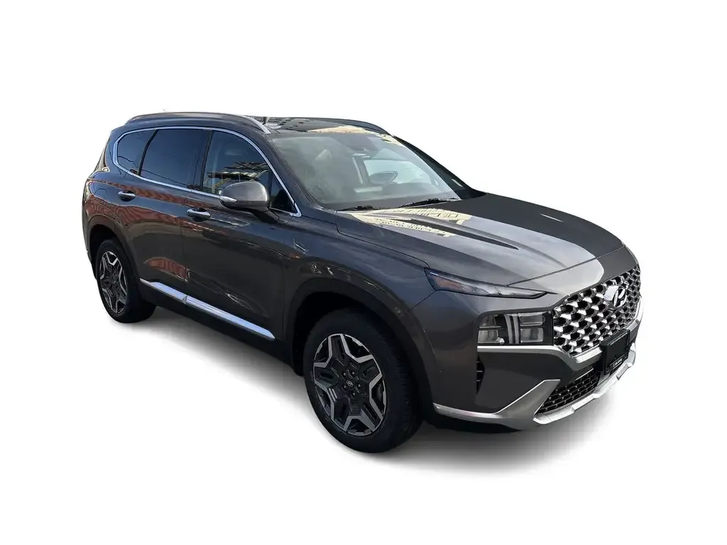 Hyundai Santa Fe 2022 photo 2