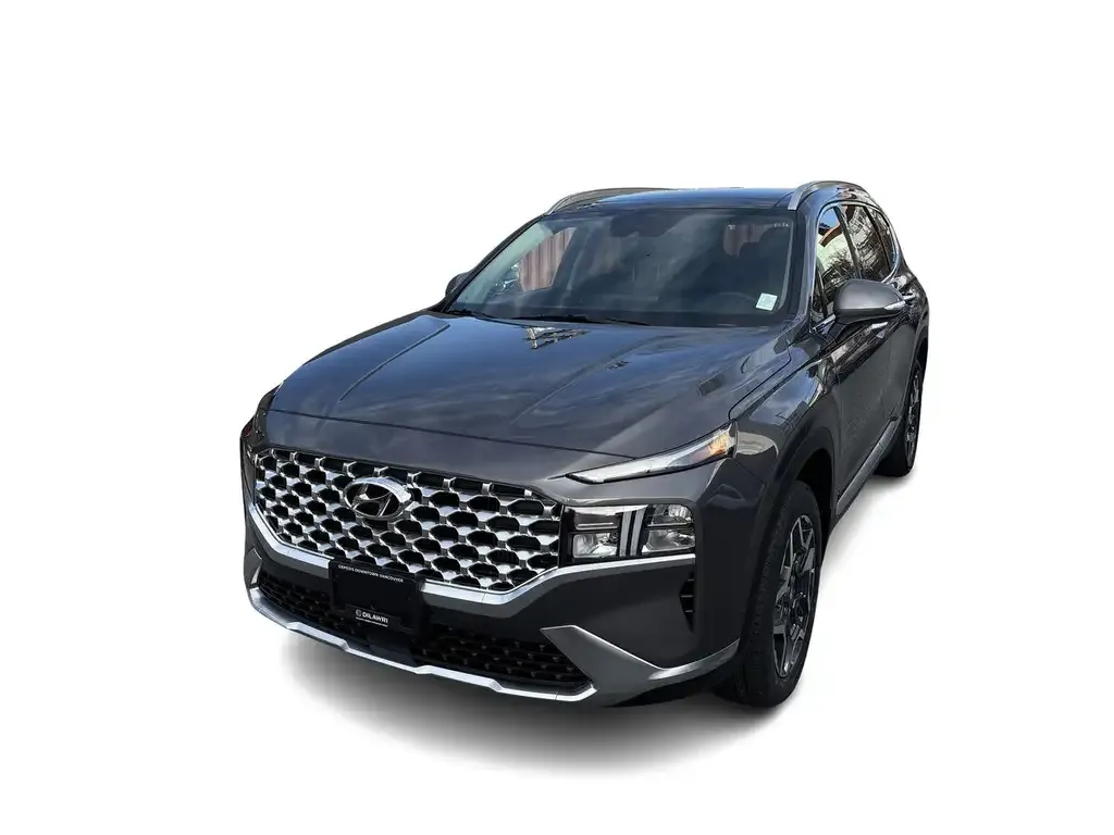 Hyundai Santa Fe 2022 photo 5