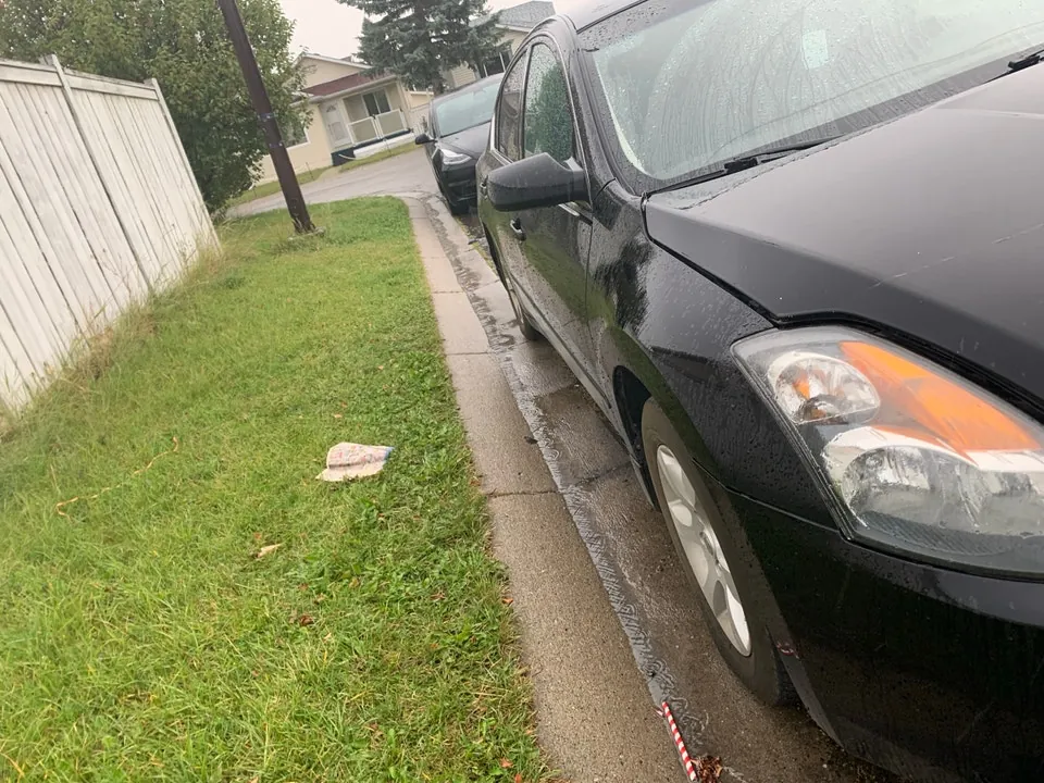 Nissan Altima 2010 photo 4
