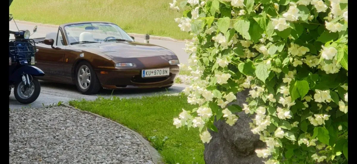 Mazda Mx-5